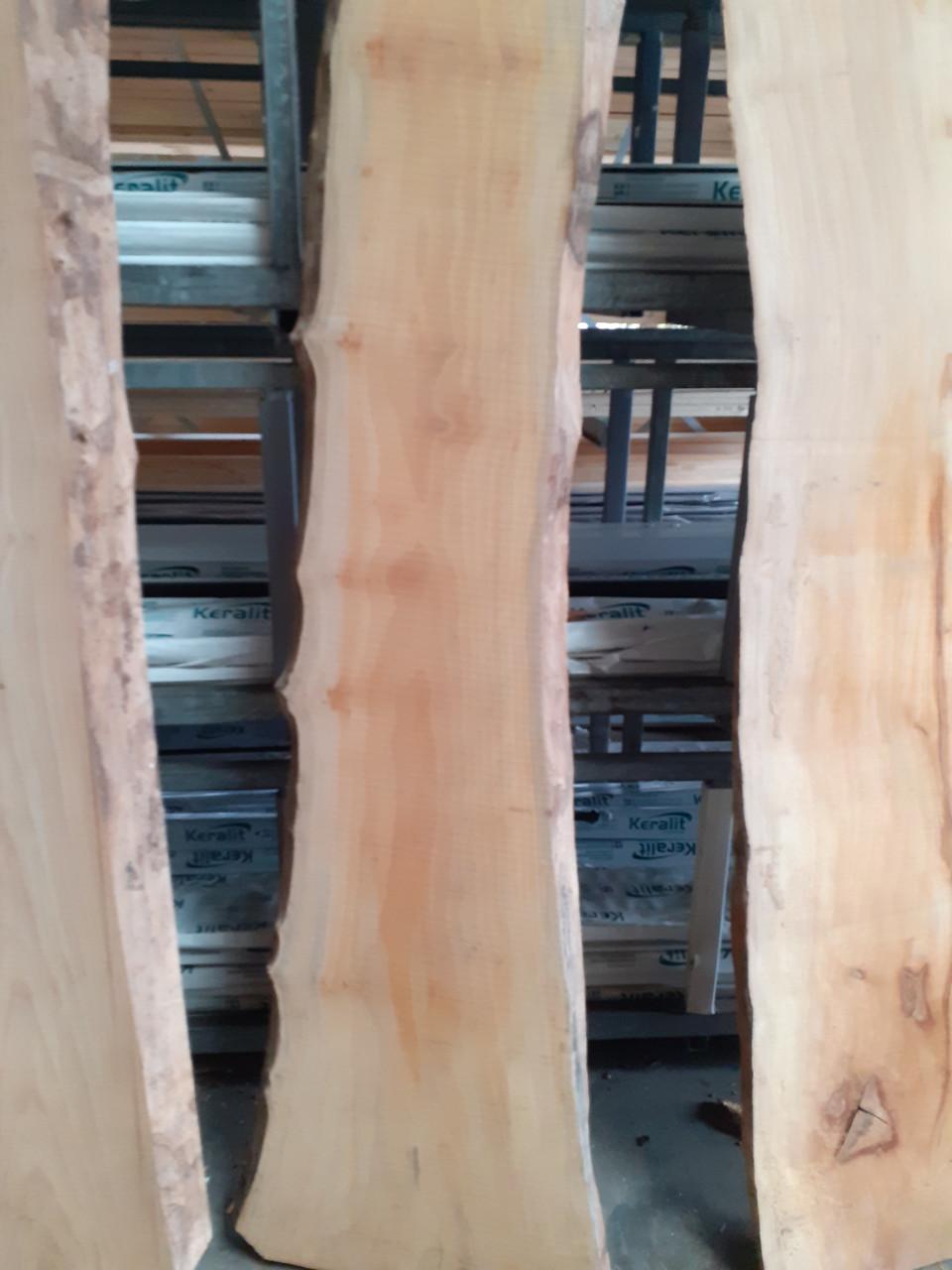 Breed plataan boomstamblad voor 25 euro