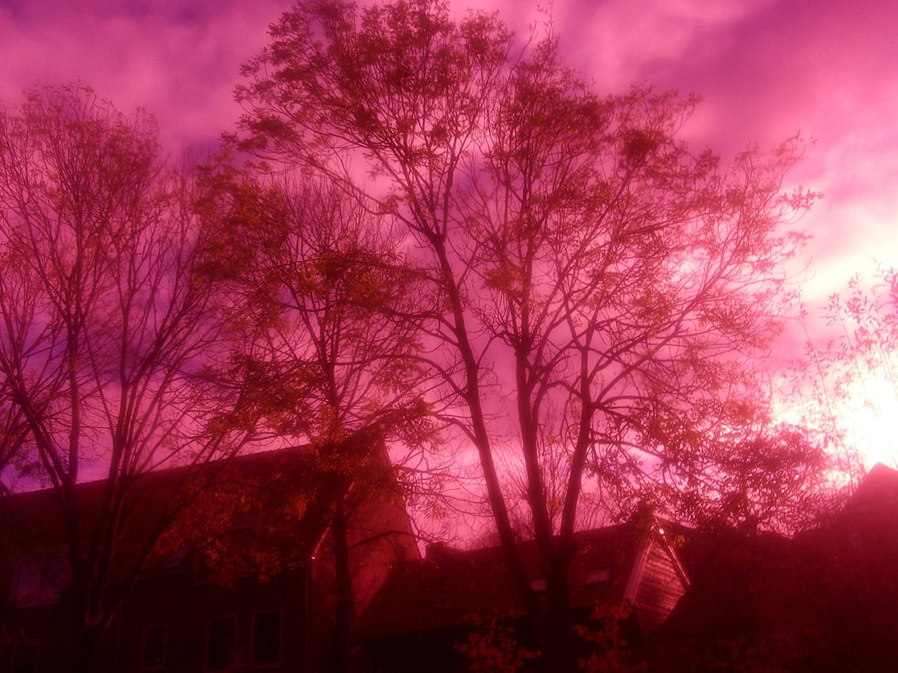 Fotoworkshops voor kinderen