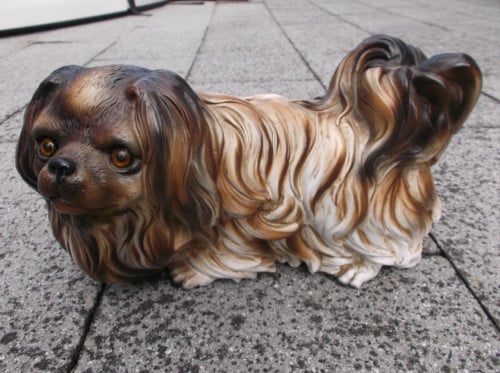Beeld hond