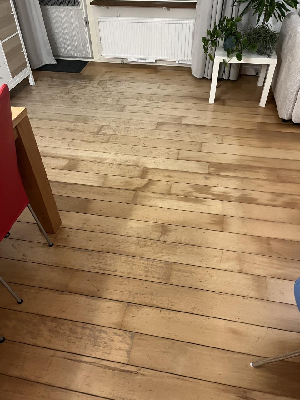 Beukenhouten vloer - Doe een leuk bod!