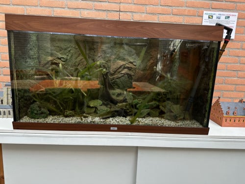 Mooi aquarium