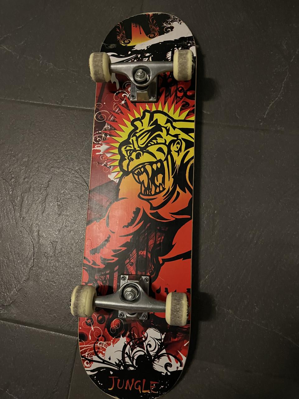 Skatebord