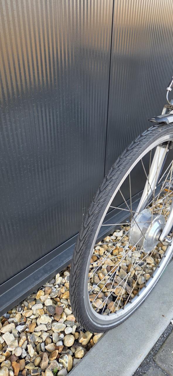 Neytr RIH Omega heren ebike 53cm 90km