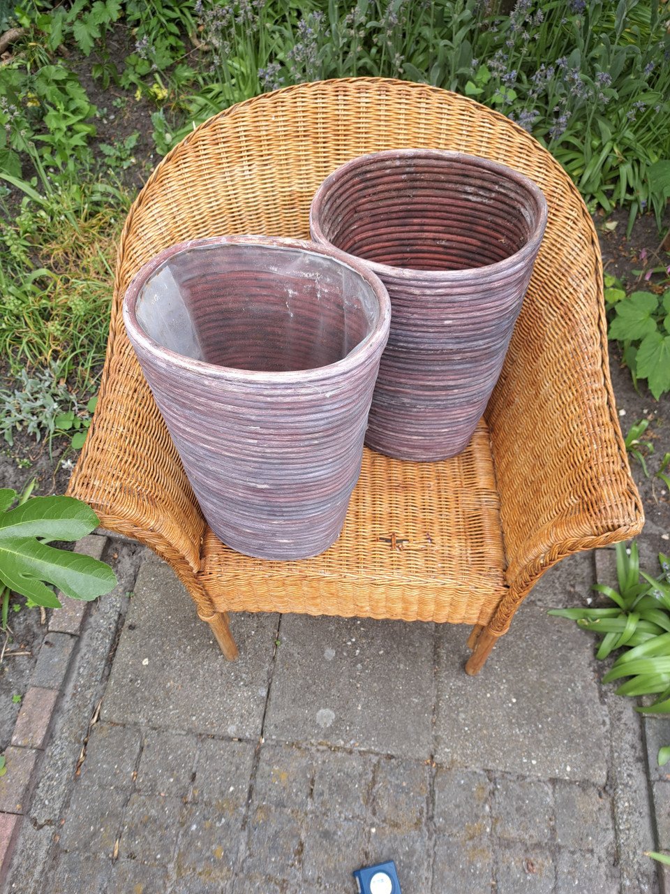 Plantenpotten