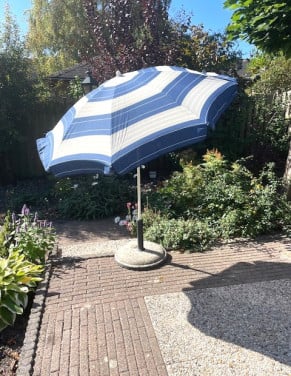 Parasol