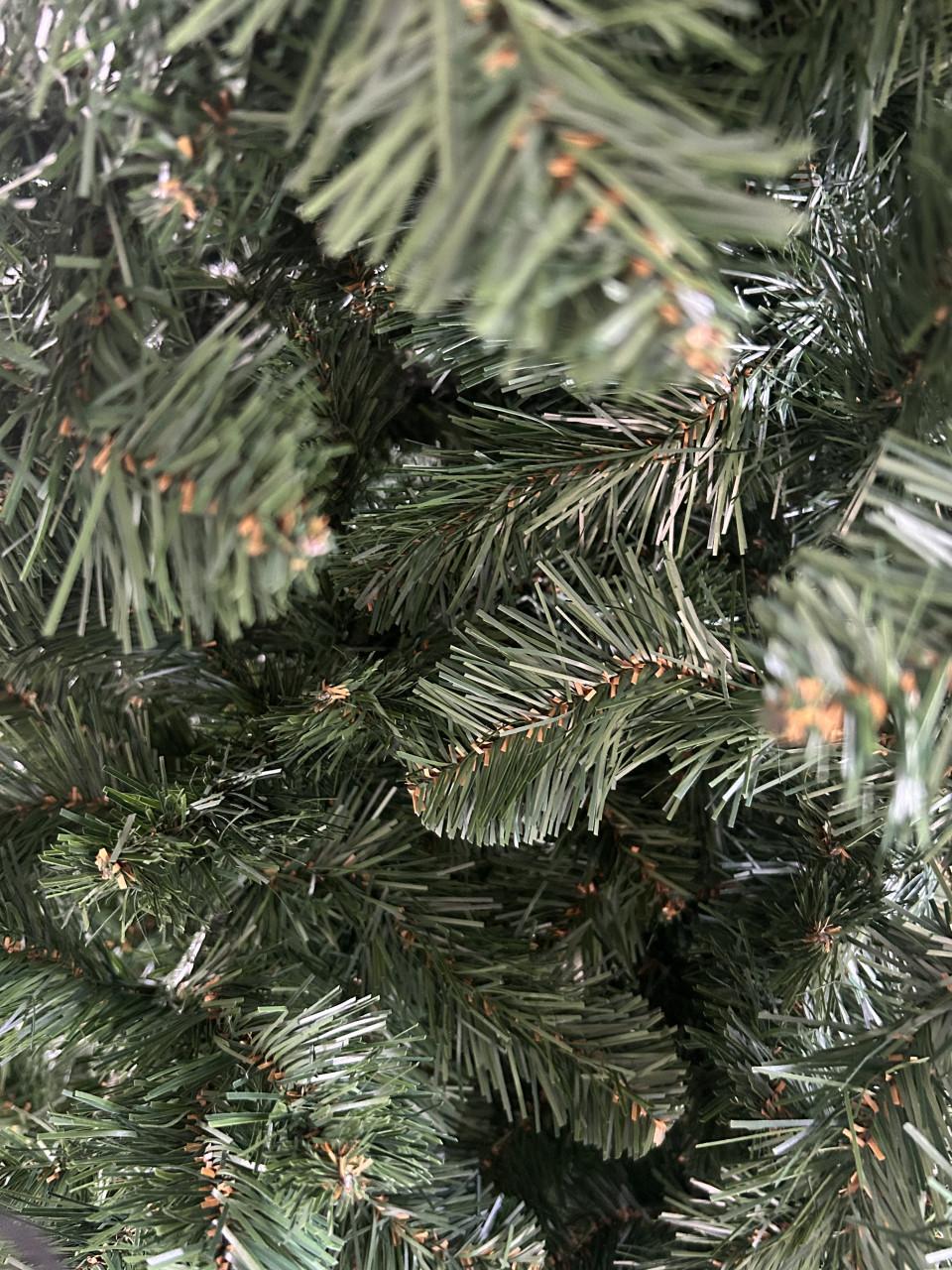 Kerstboom Gross Clockner 2.15 hoog 1,50 breed Triumph tree Intratuin