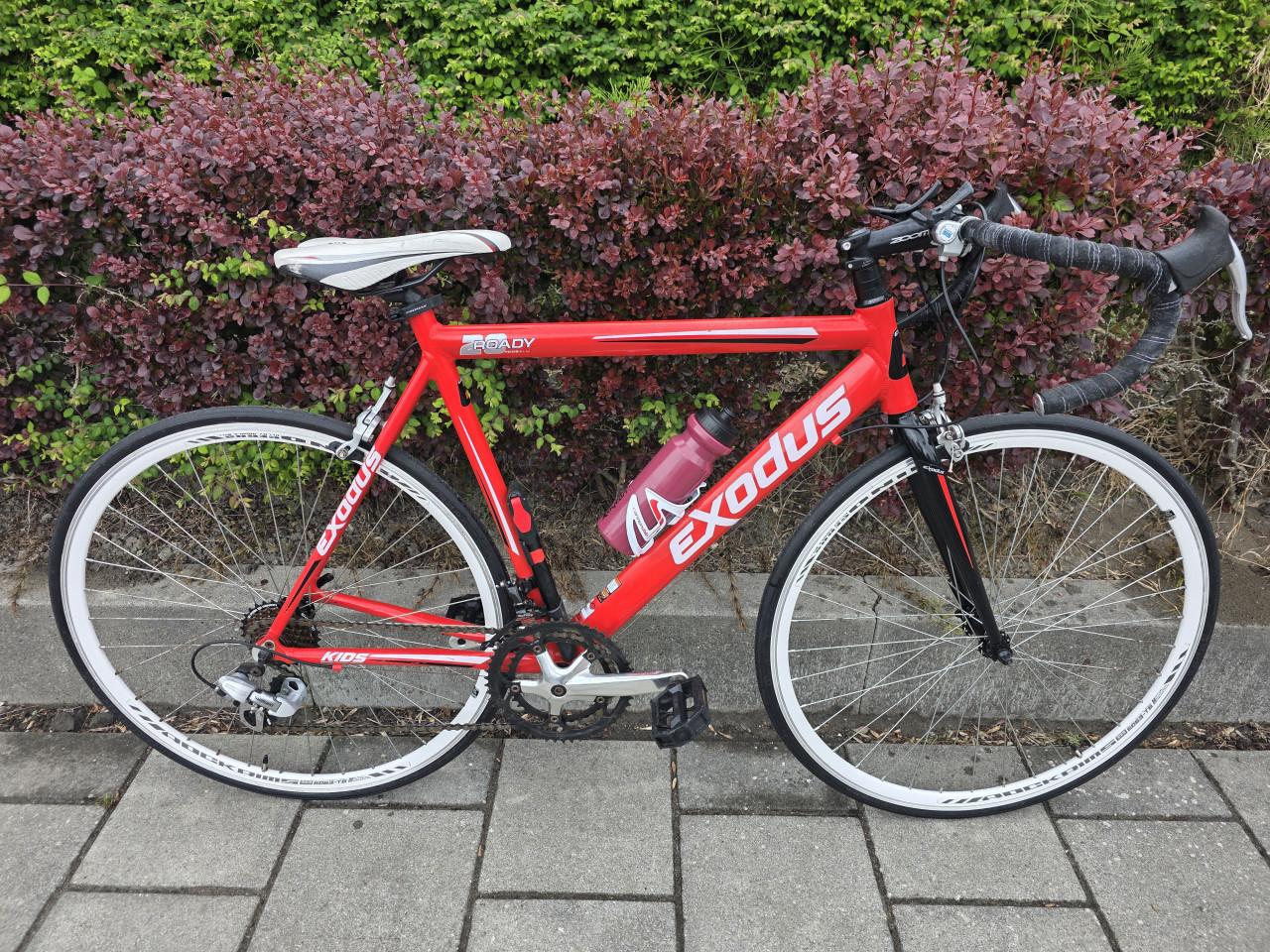 RACEFIETS | EXODUS | 28 INCH | FRAME 56 CM | 2X7 V