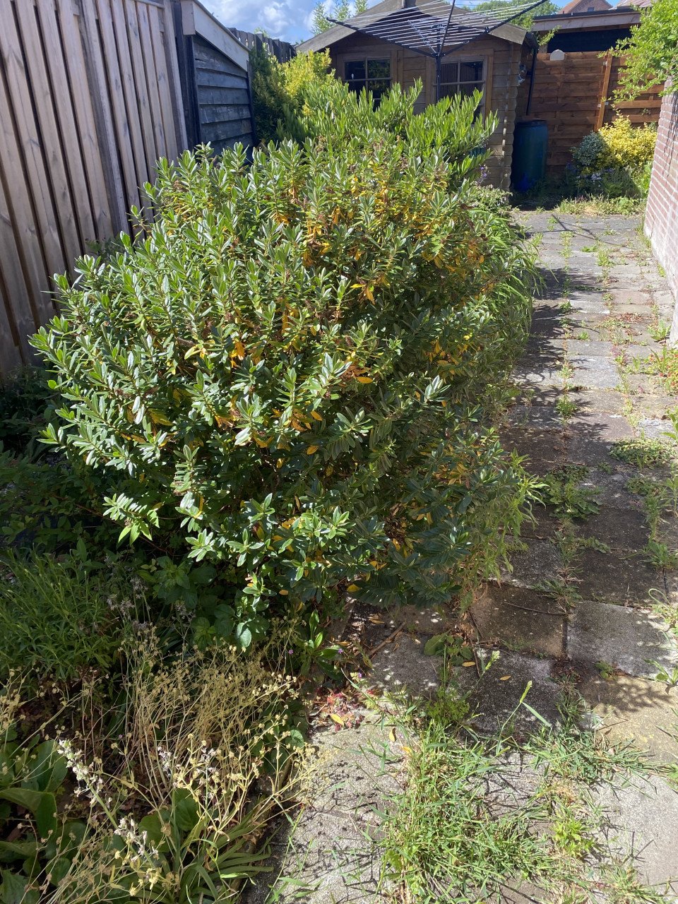 Tuinonderhoud