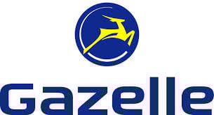 De Gazelle Esprit RN/C3/C7 vederlichte robuuste stadsfiets en schoolfiets
