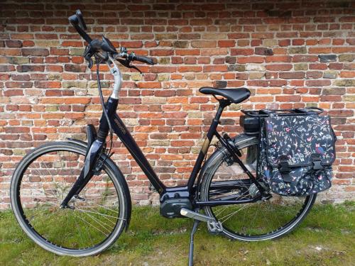 Elektrische fiets Sparta M8S framemaat 55 cm
