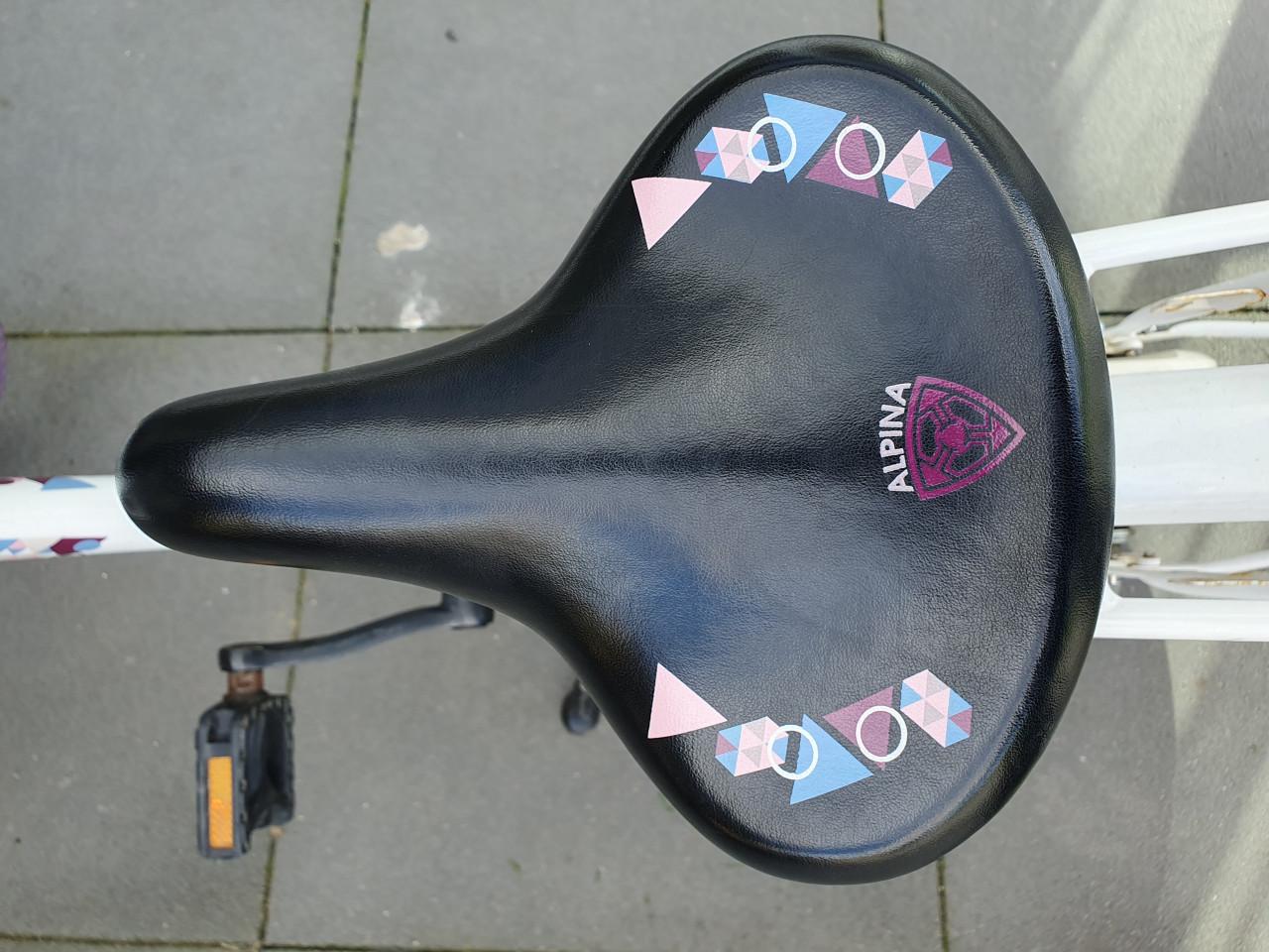 Alpina Clubb meisjesfiets 20 inch
