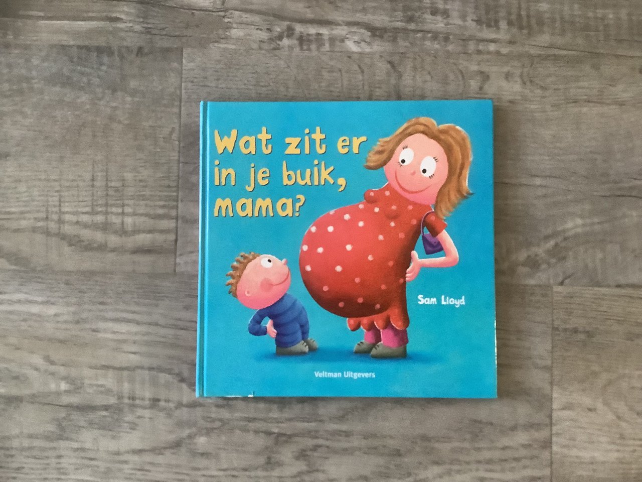 Boek: Wat zit er in je buik mama?