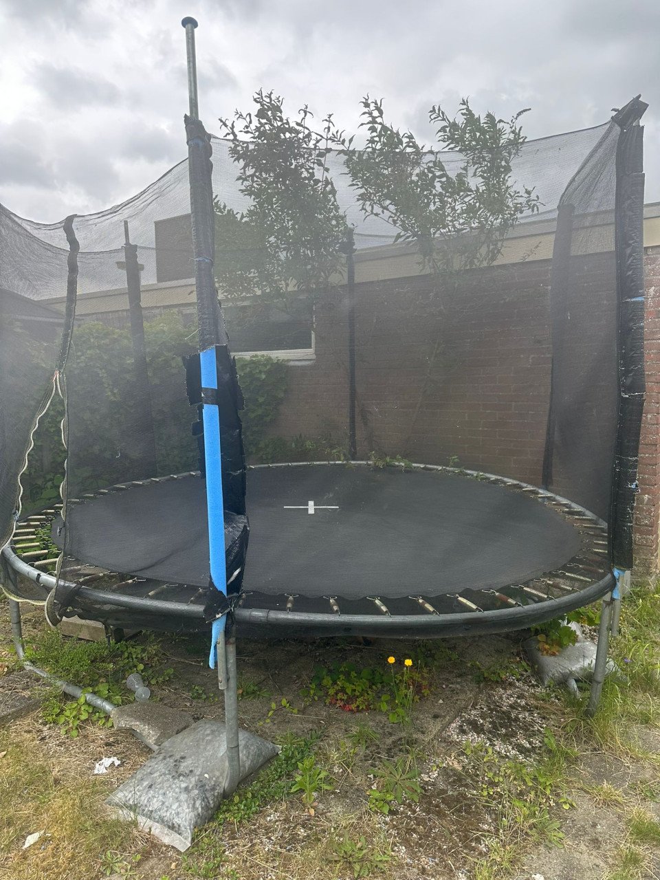 Trampoline