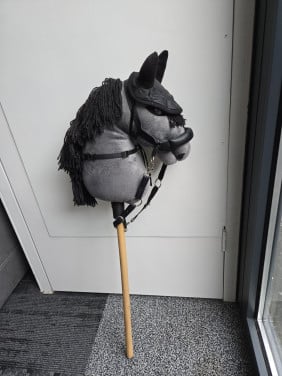 Hobbyhorse
