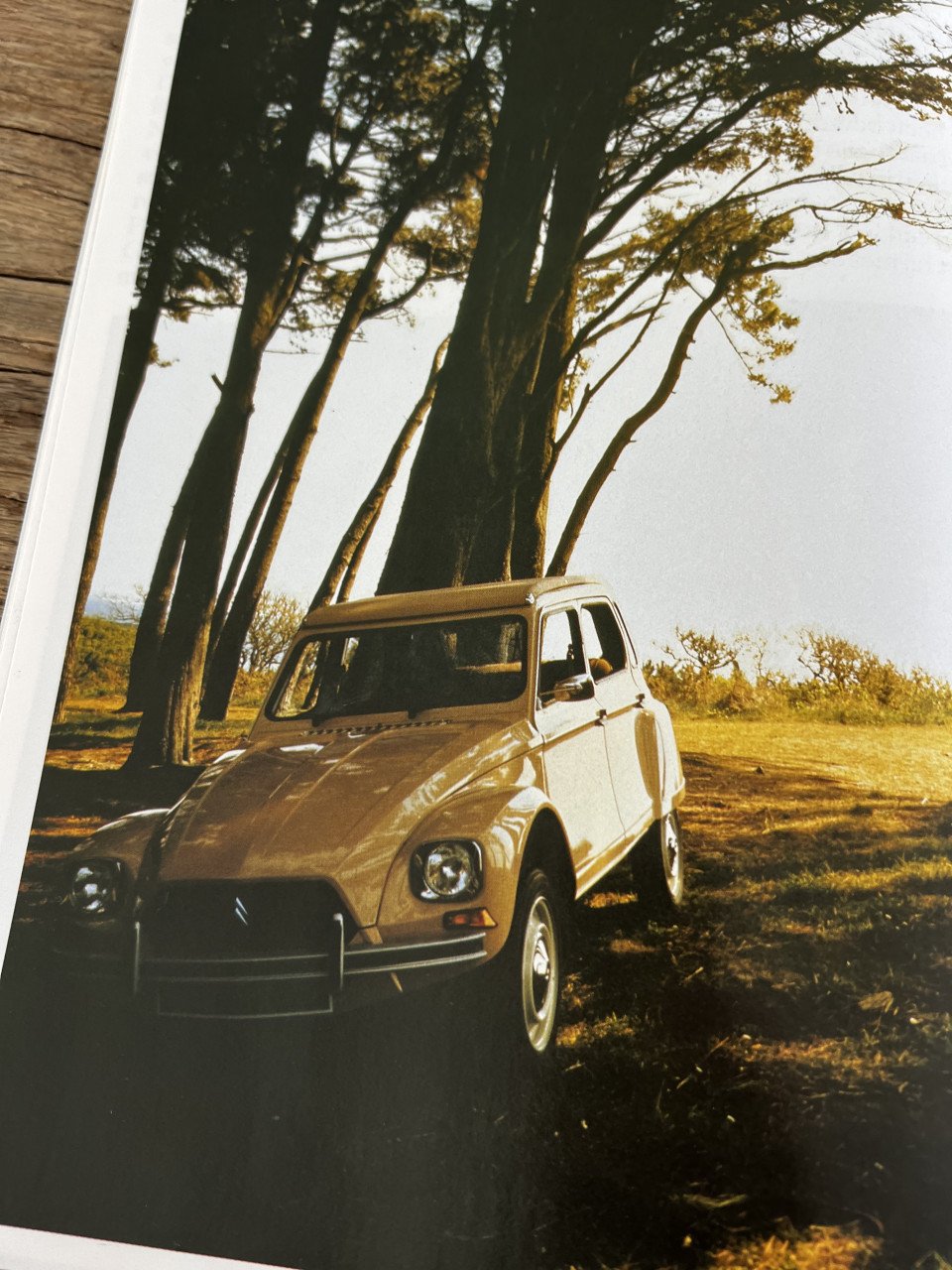 Lelijke eend Citroen Dyane 6