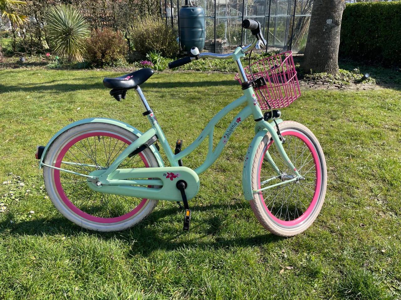 Nette Alpina kinderfiets 22 inch