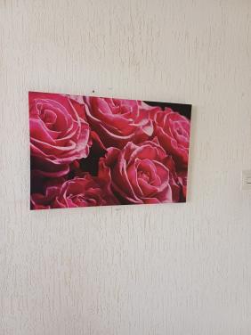 Rozen print op linnen z.g.a.n.