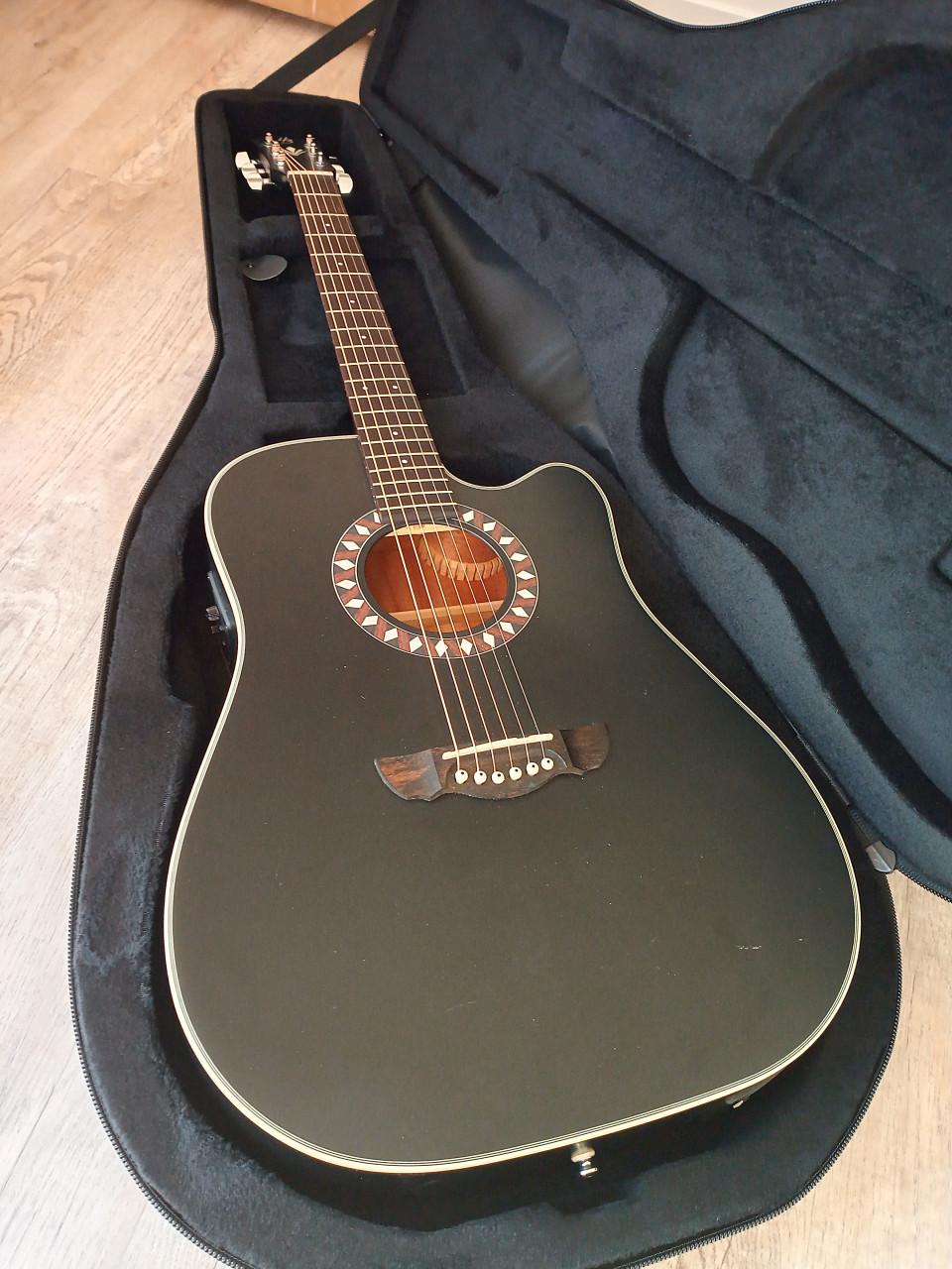 Western gitaar met koffer