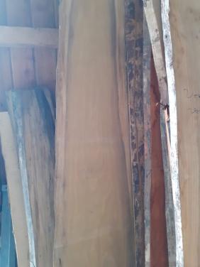 Afrormosia schaaldeel ong 390 x 30-53 halfrond