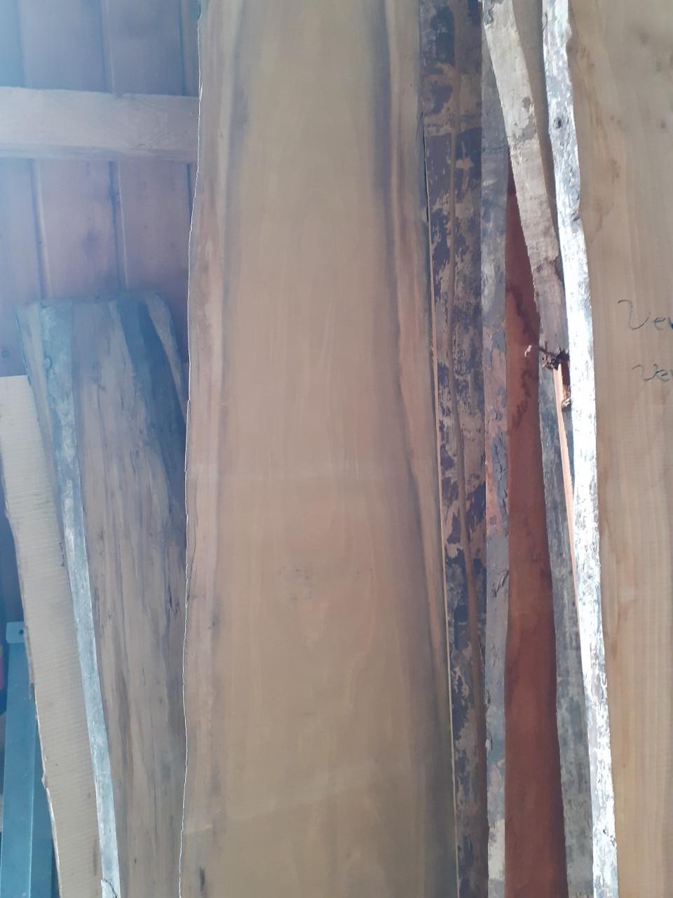 Afrormosia schaaldeel ong 390 x 30-53 halfrond