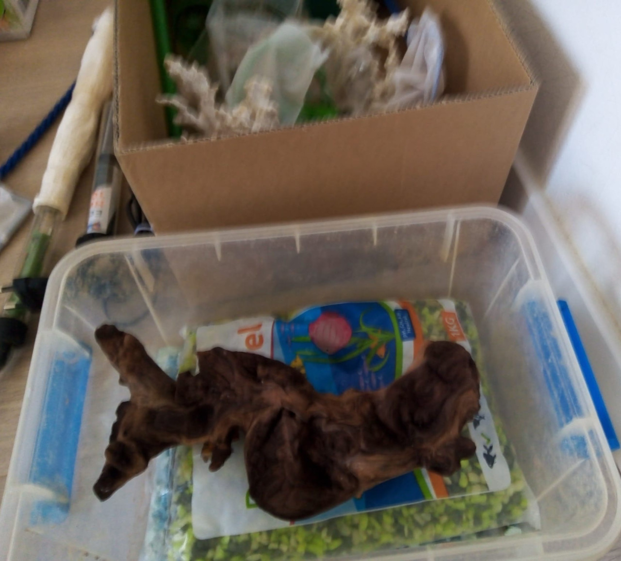 Te koop aquarium+ heel veel benodigheden €25,-