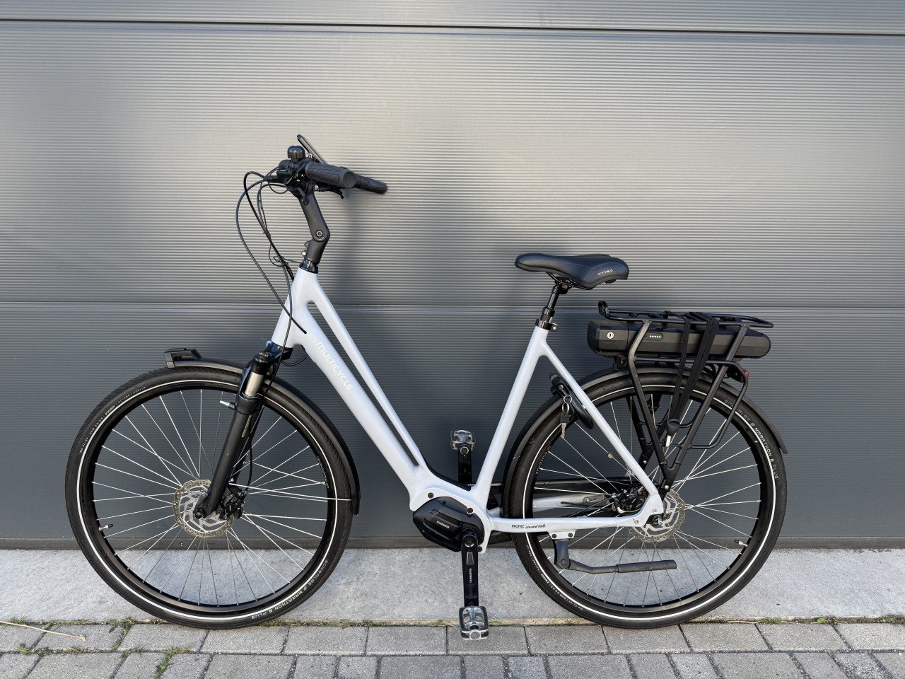ZGAN Multicycle Solo middenmotor elektrische fiets 1900KM!