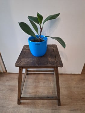 Tafeltje