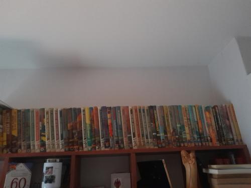 Arendsoog boeken serie