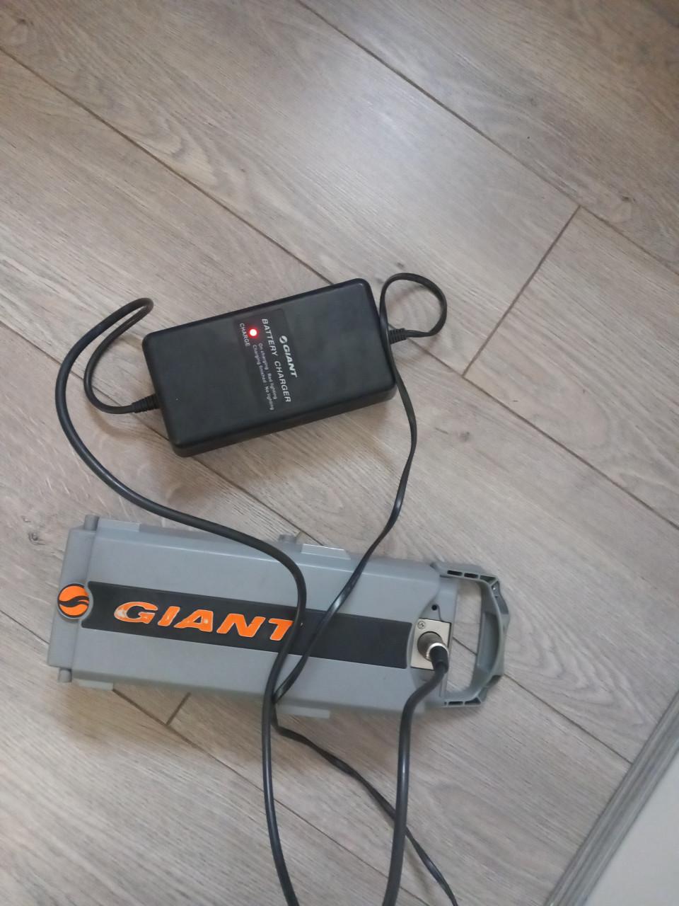 Giant accu met lader