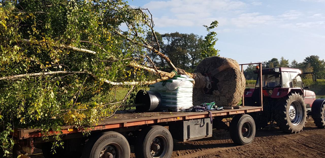 Stratenmaker/ hoveniers