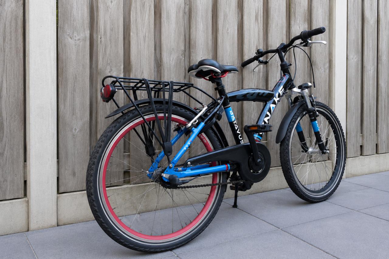 Batavus Snake 24 Inch | 3V | Verende Voorvork | €225