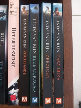 Boeken van Linda van Rijn
