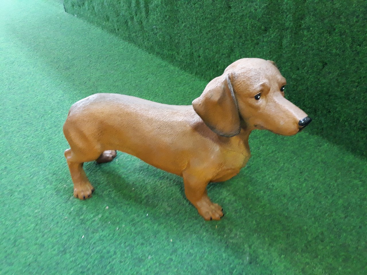 Jack Russel Wakend Bruin Wit