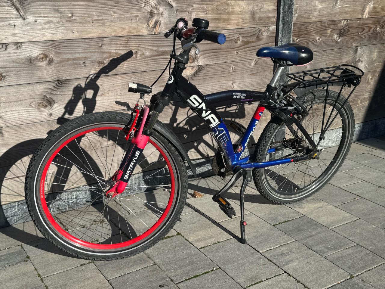 Batavus snake 24 inch