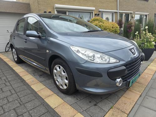 Tekoop zeer nette Peugeot 307 XT 1.6 16V