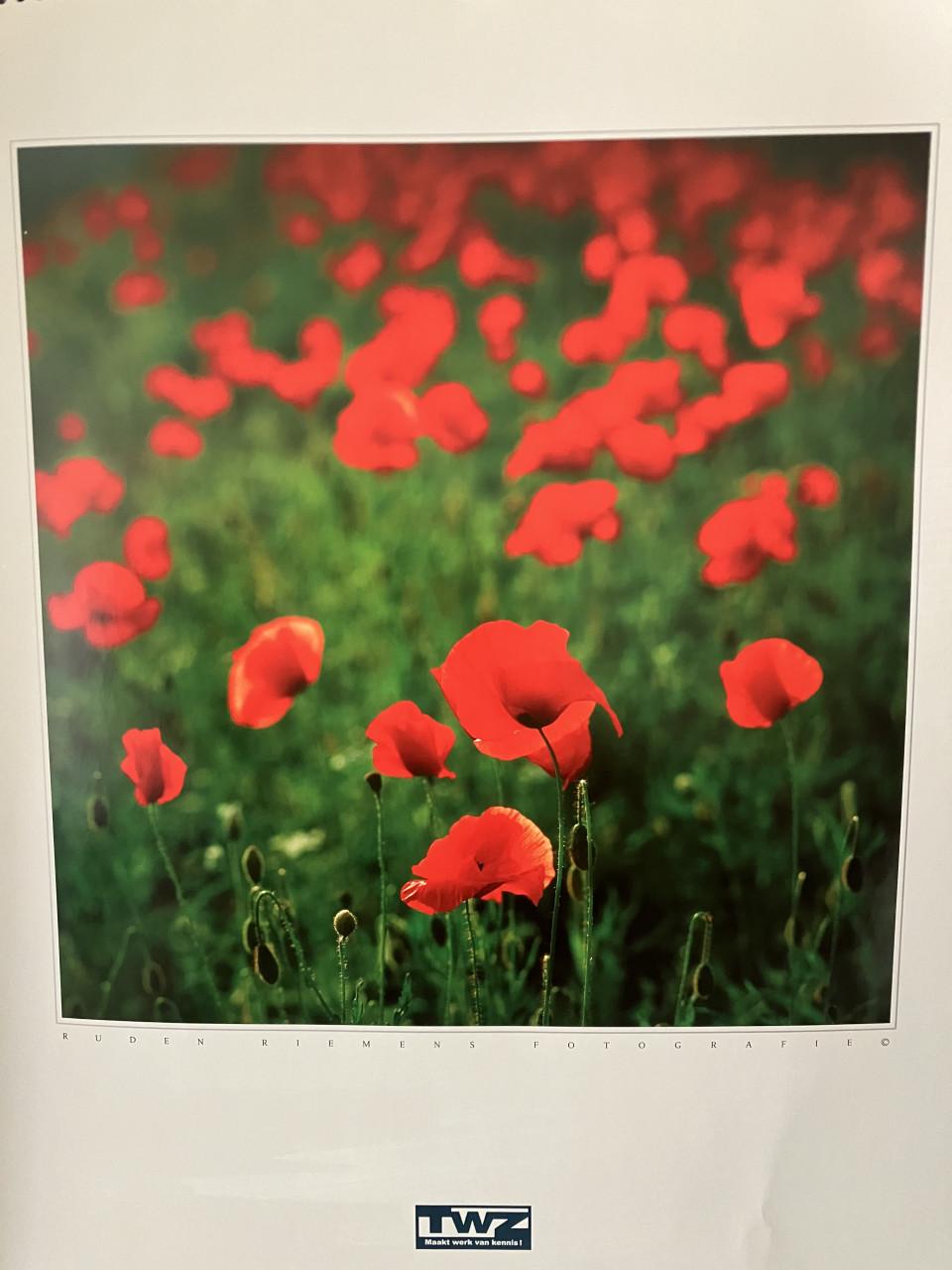 Zeeland kalender (2013) met prachtige afbeeldingen van Ruden Riemens.