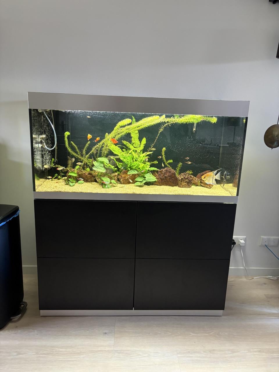 Highline aquarium van Oase