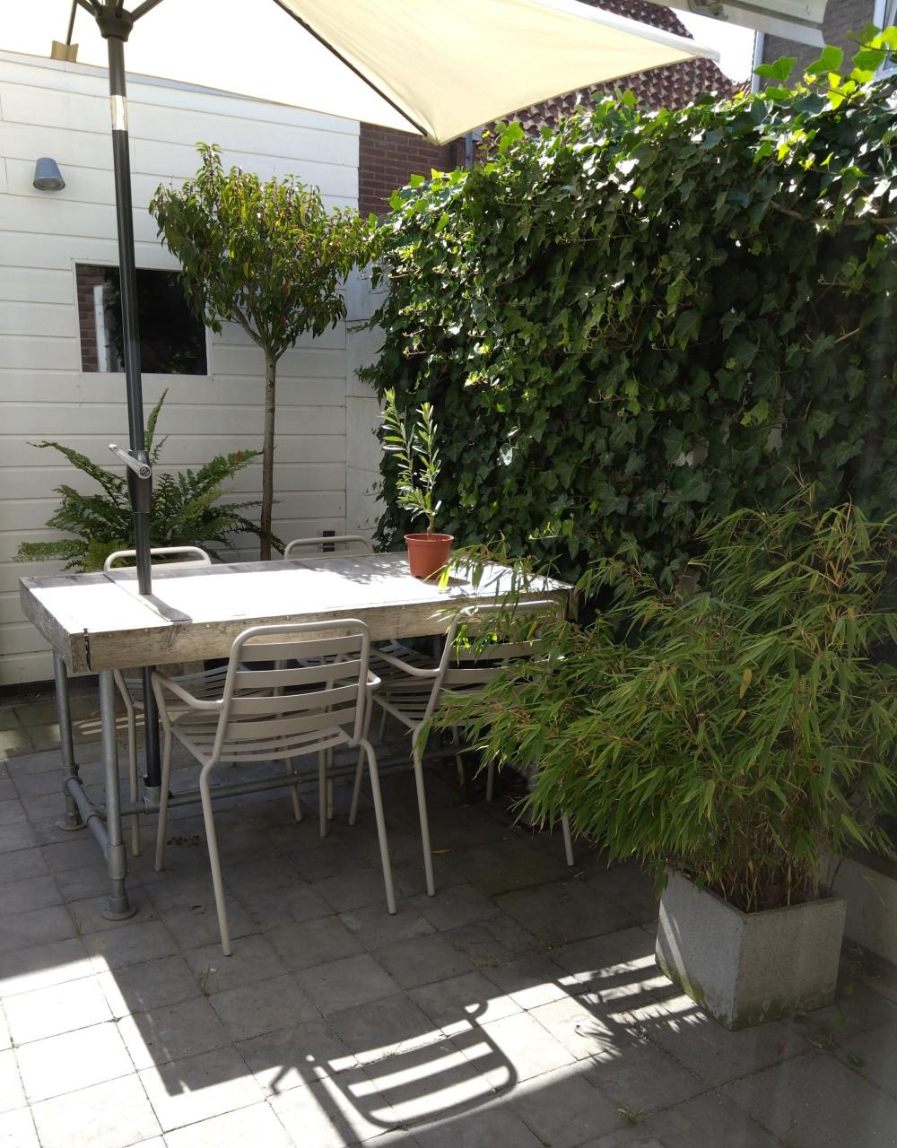 Tuintafel eettafel steigerhout steigerbuis