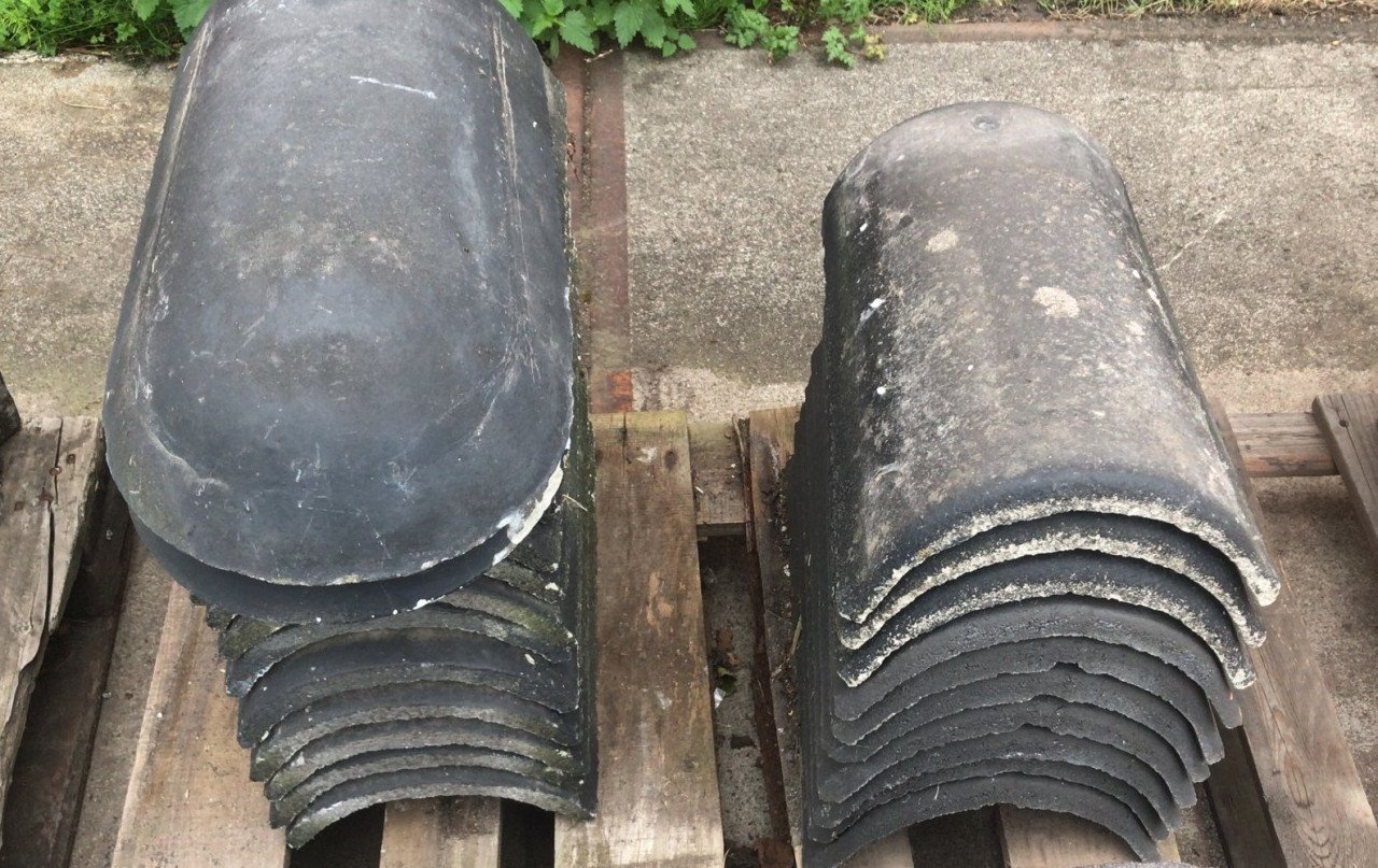 Nokvorsten (diverse types)