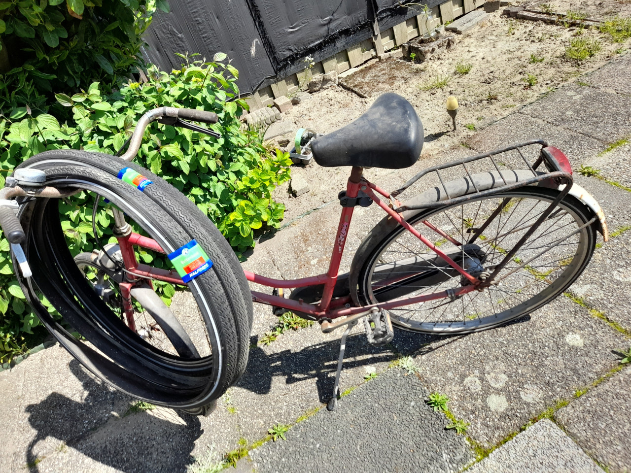 Dames fiets