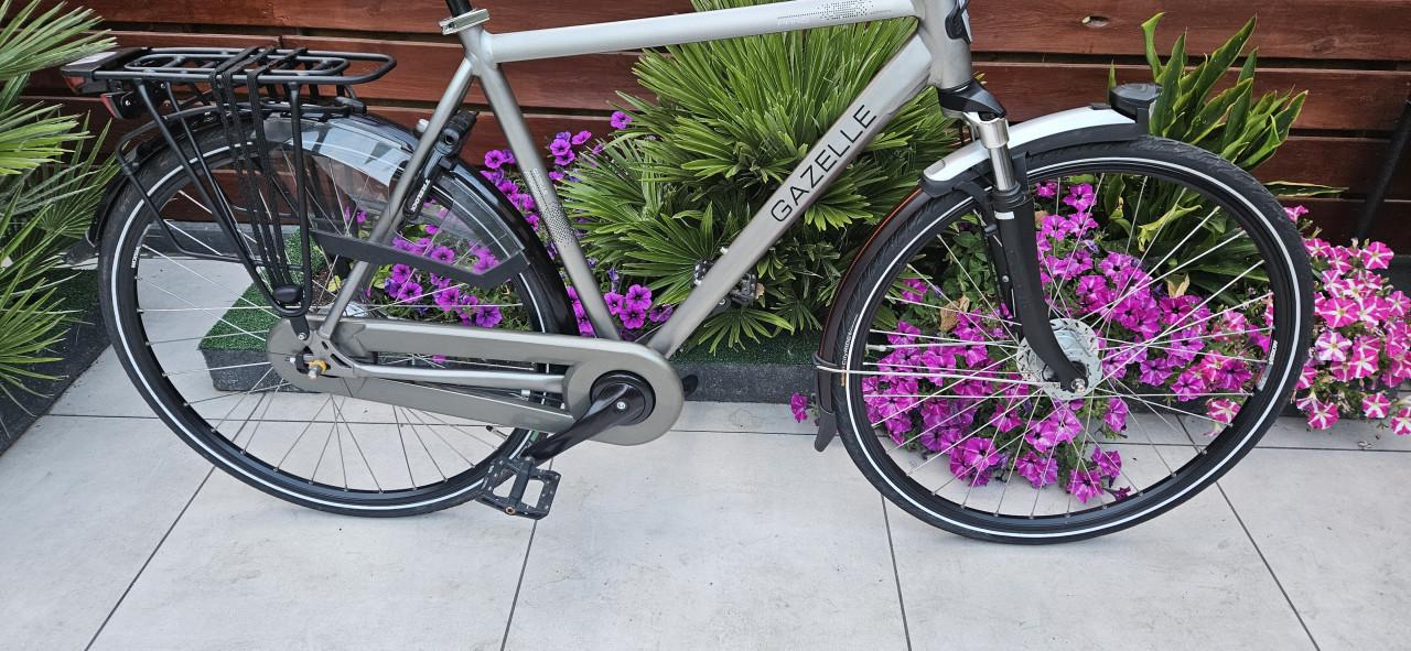 Gazelle Paris C7+ Herenfiets