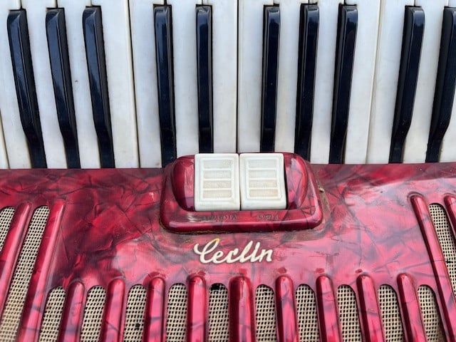 Accordeon Manuela Leclin met riemen en koffer