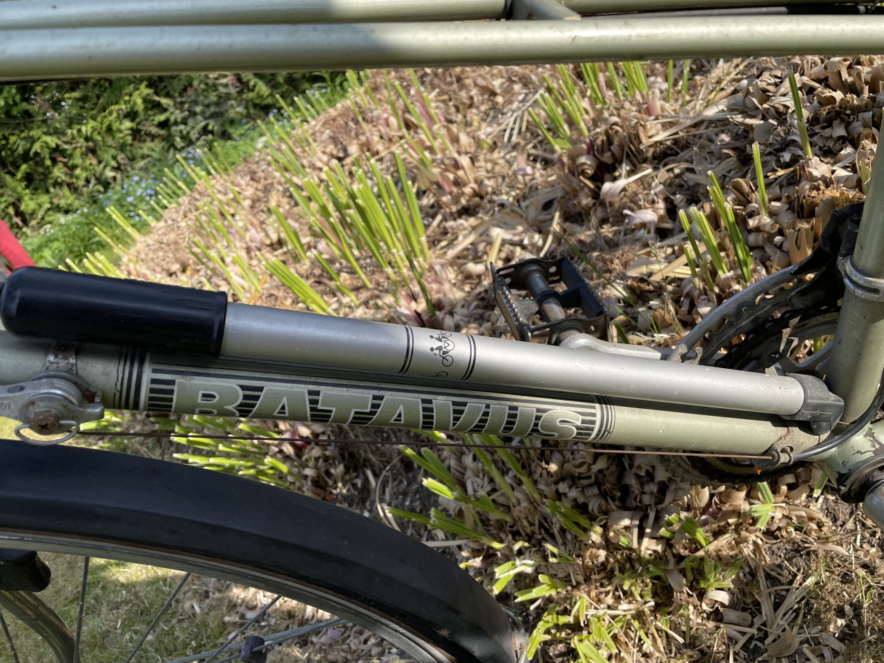 Damesfiets Batavus Sprint