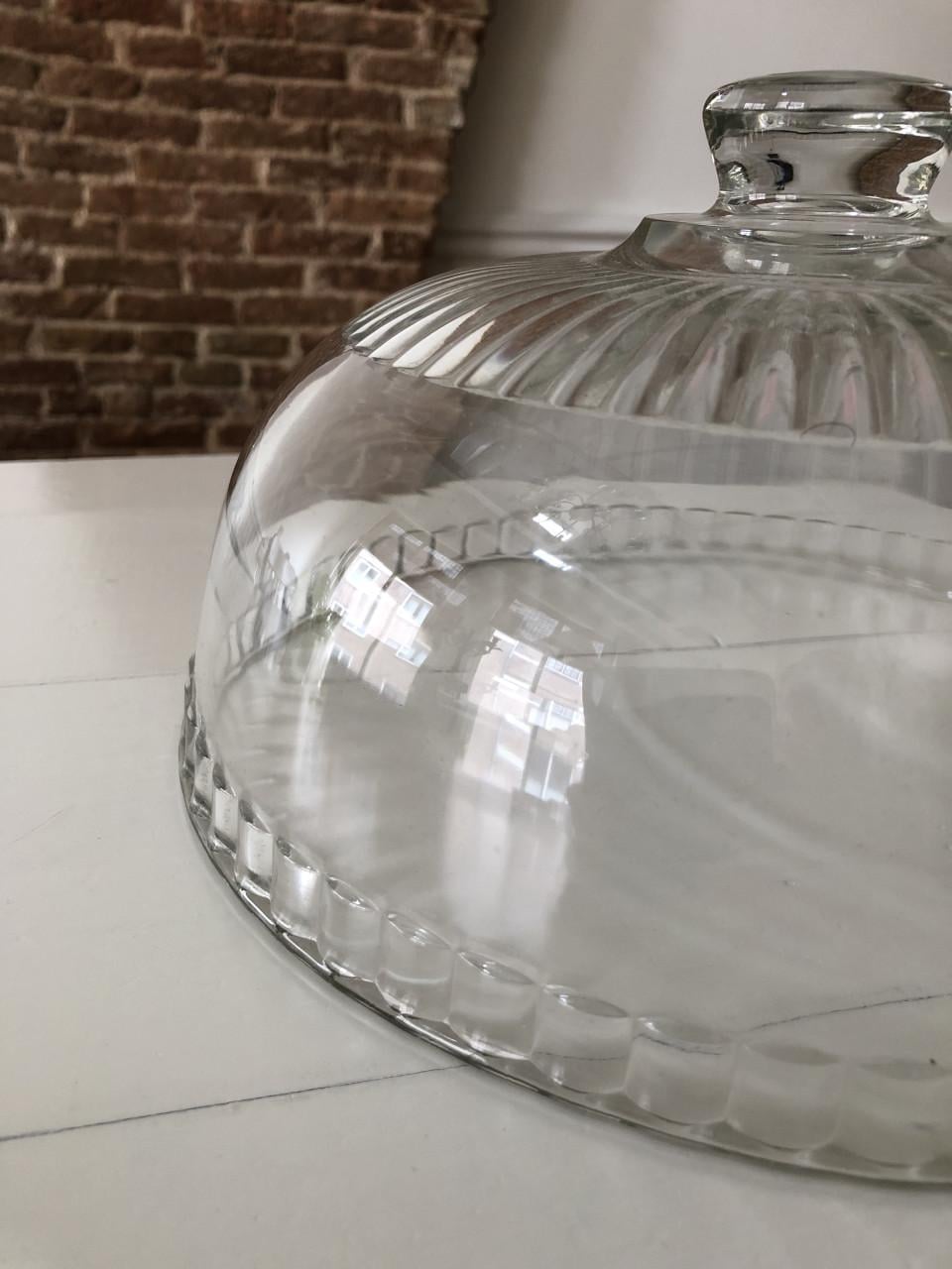 Mooie bewerkte glazen stolp / cloche