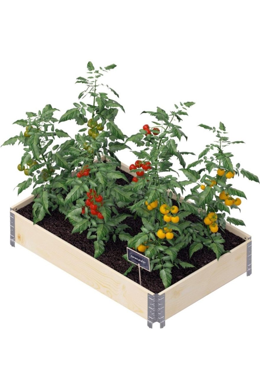Moestuin bakken / palletranden