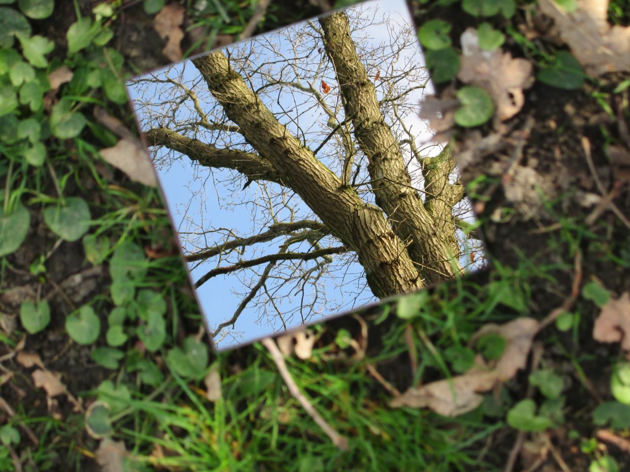 Fotoworkshop (groot) ouder en kind