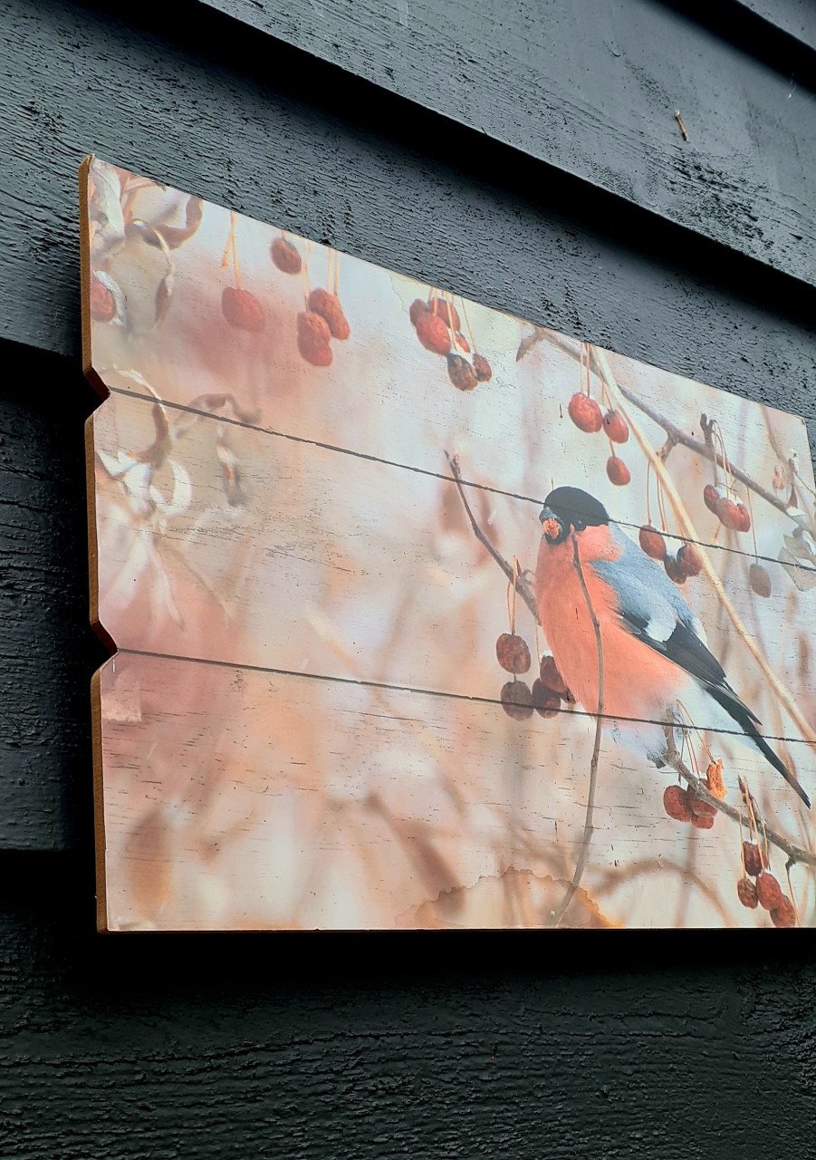 Herfst/winter afbeelding op hout; vogeltje met rode besjes