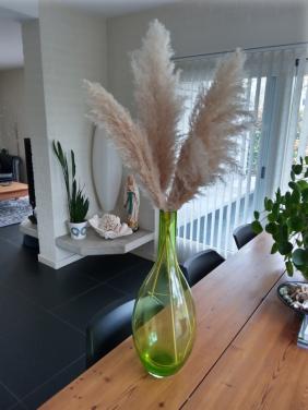 Mondgeblazen Grote Groene Vaas