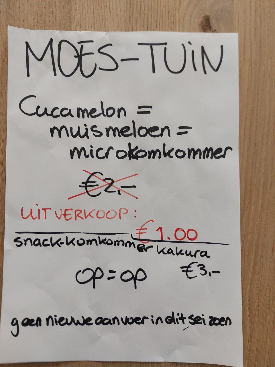 TK: SIERTUIN + MOESTUIN PLANTEN BIJ DE VOORDEUR