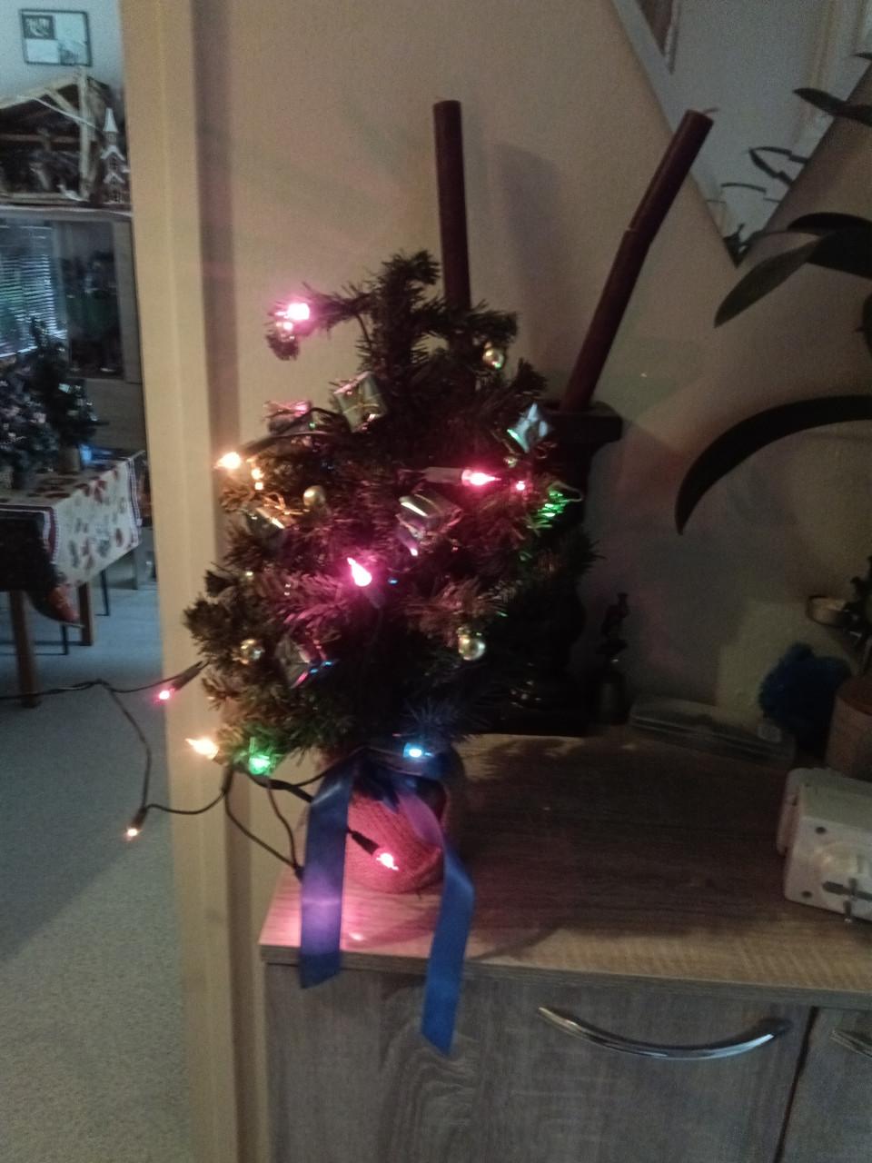 Verschillende kerstbomen